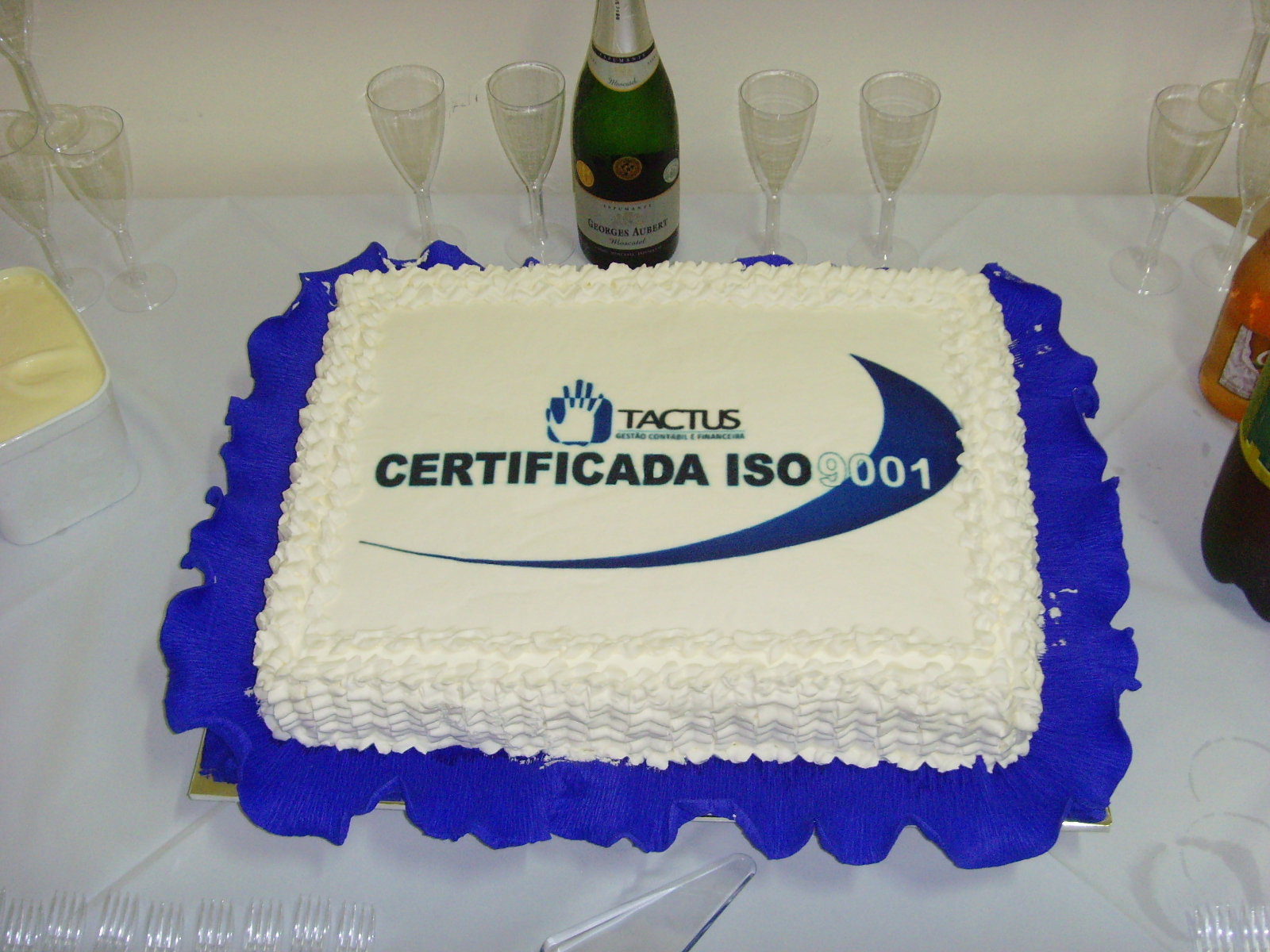 ISO 9001 (2)