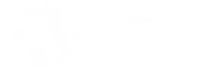 ntw2.png