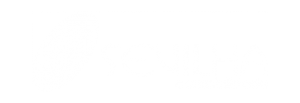 sevilha-contabilidade.png